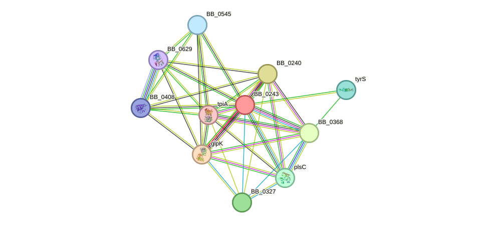 STRING protein interaction network