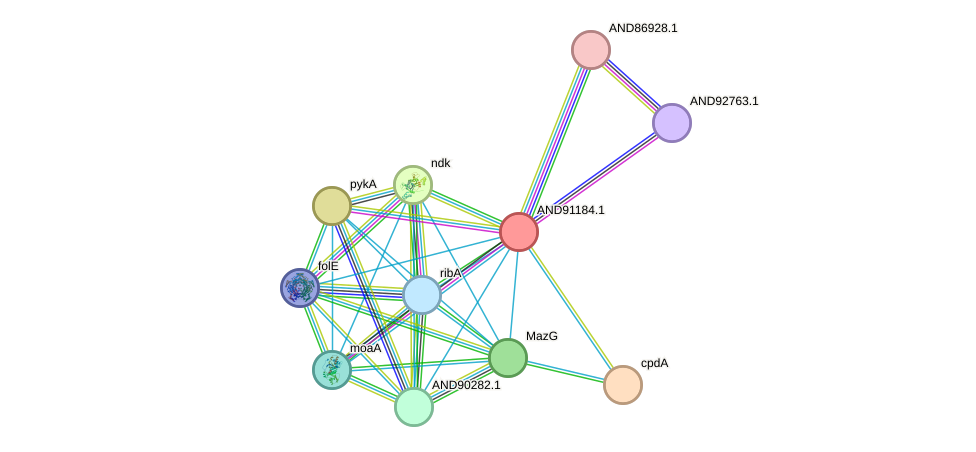 STRING protein interaction network