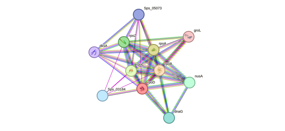 STRING protein interaction network