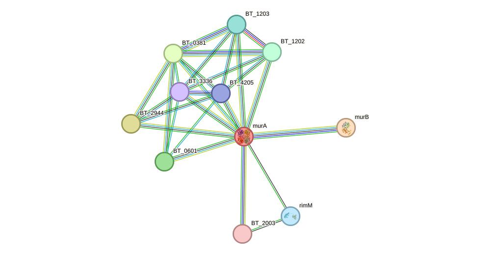 STRING protein interaction network