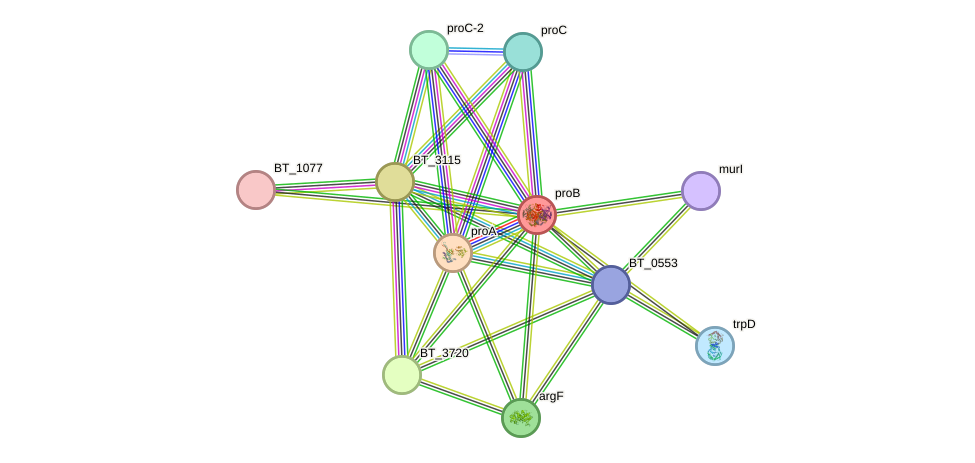 STRING protein interaction network