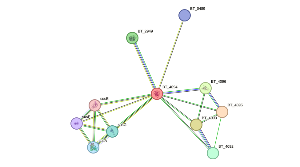 STRING protein interaction network