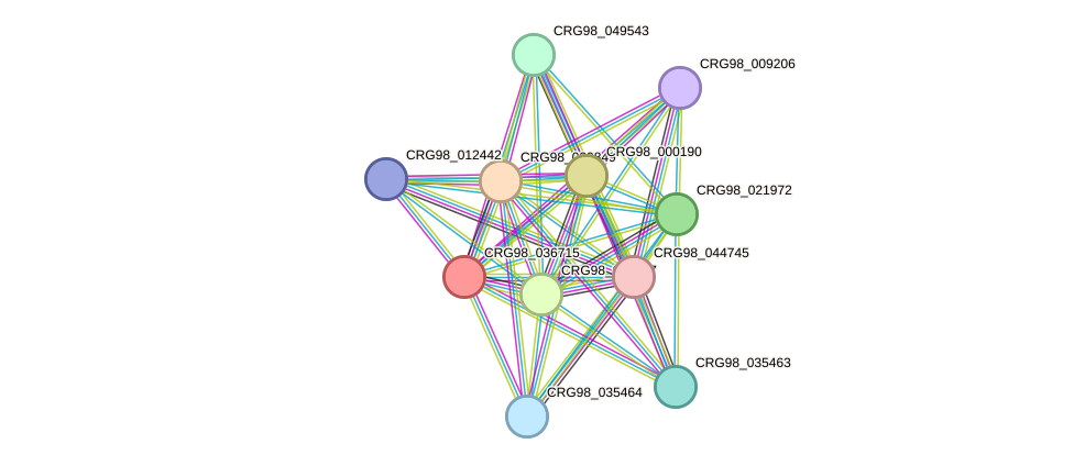 STRING protein interaction network