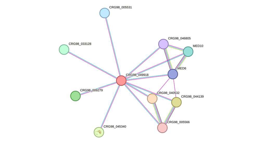 STRING protein interaction network