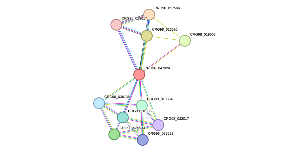 STRING protein interaction network