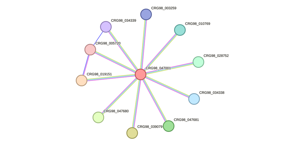 STRING protein interaction network