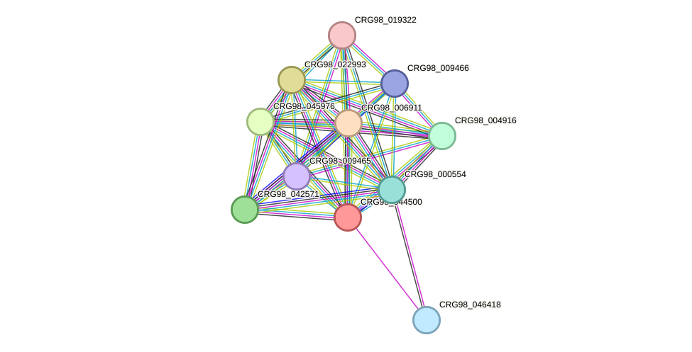 STRING protein interaction network