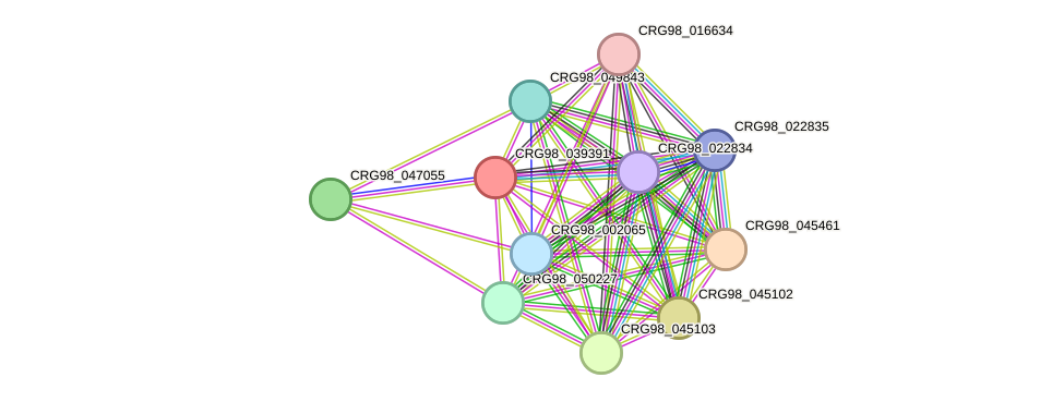 STRING protein interaction network