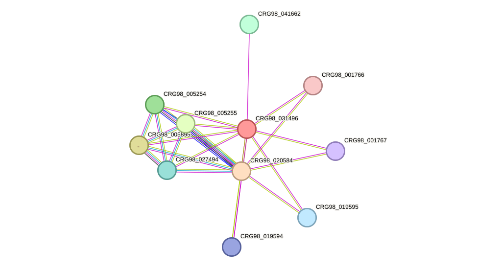 STRING protein interaction network