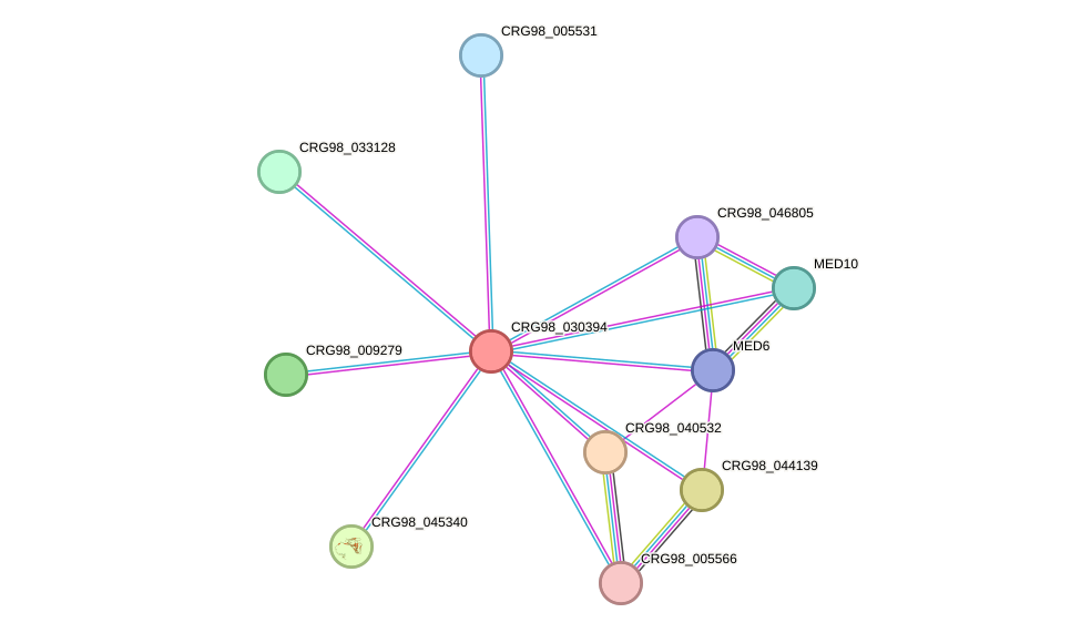 STRING protein interaction network