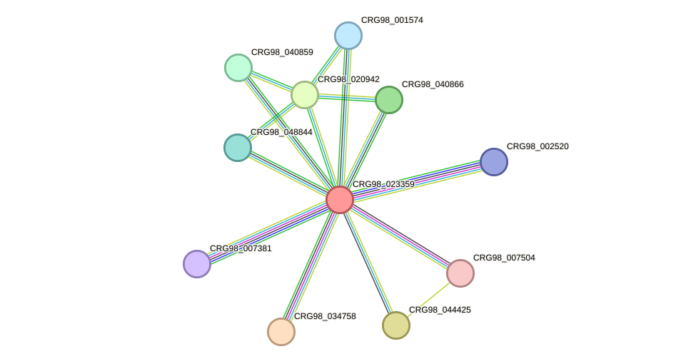 STRING protein interaction network