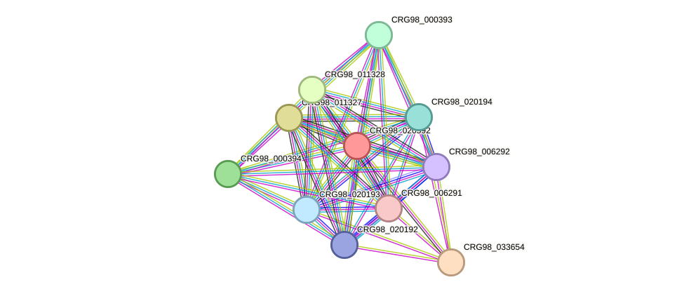 STRING protein interaction network