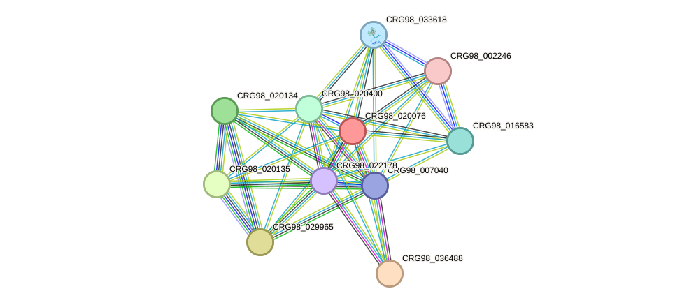 STRING protein interaction network