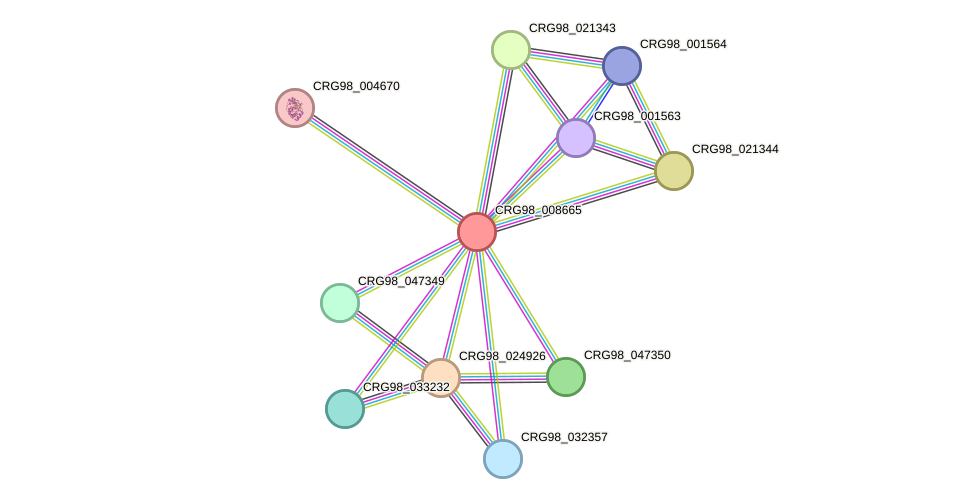 STRING protein interaction network