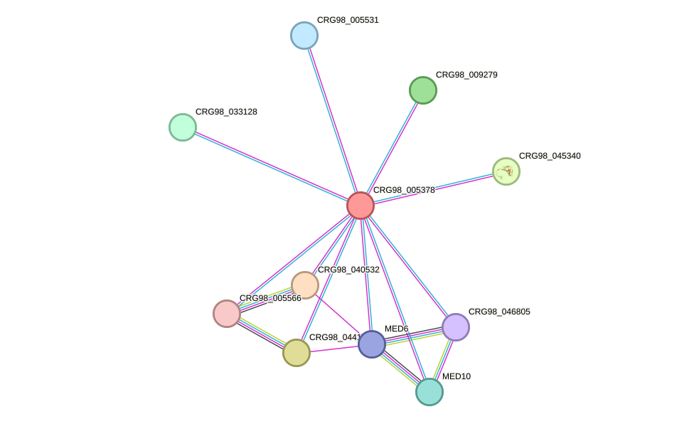 STRING protein interaction network