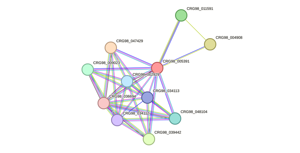 STRING protein interaction network