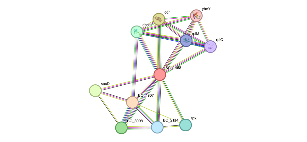 STRING protein interaction network