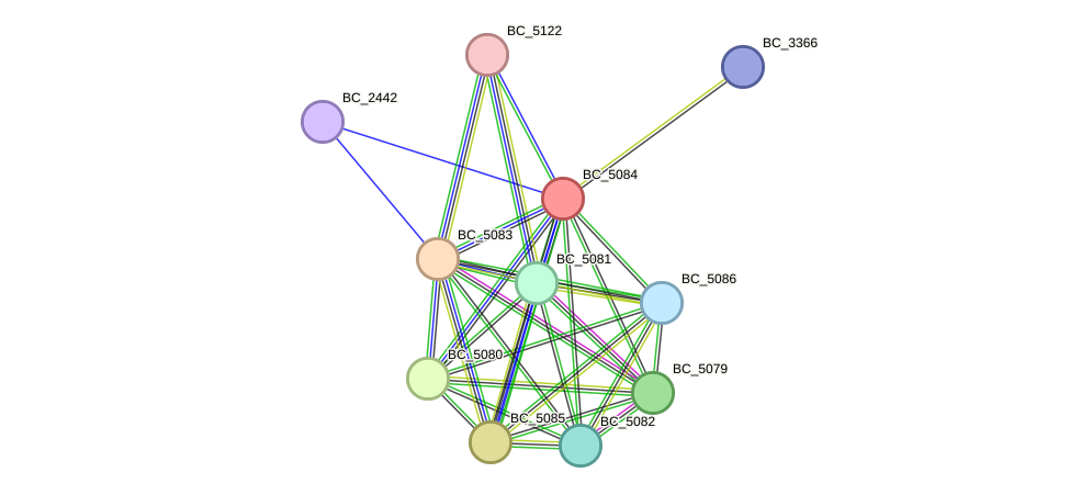 STRING protein interaction network