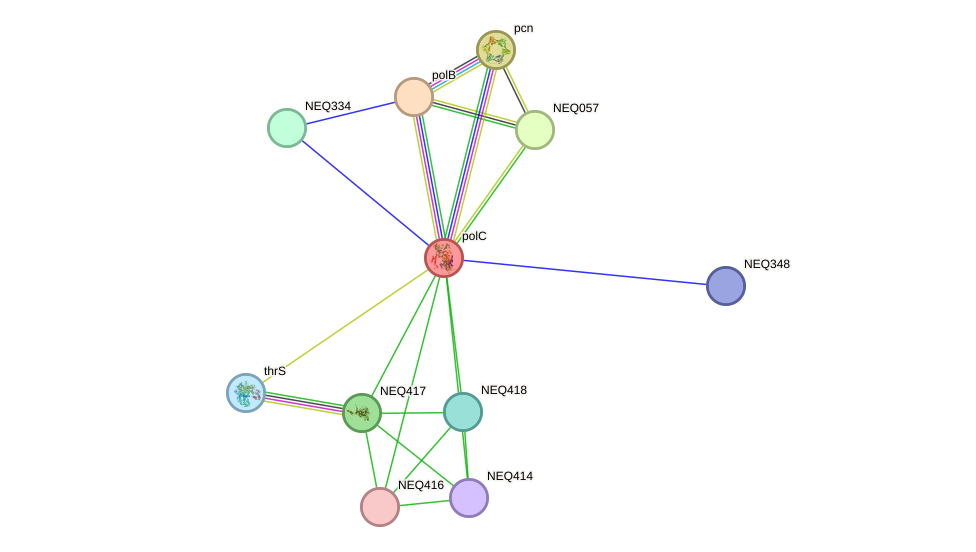 STRING protein interaction network