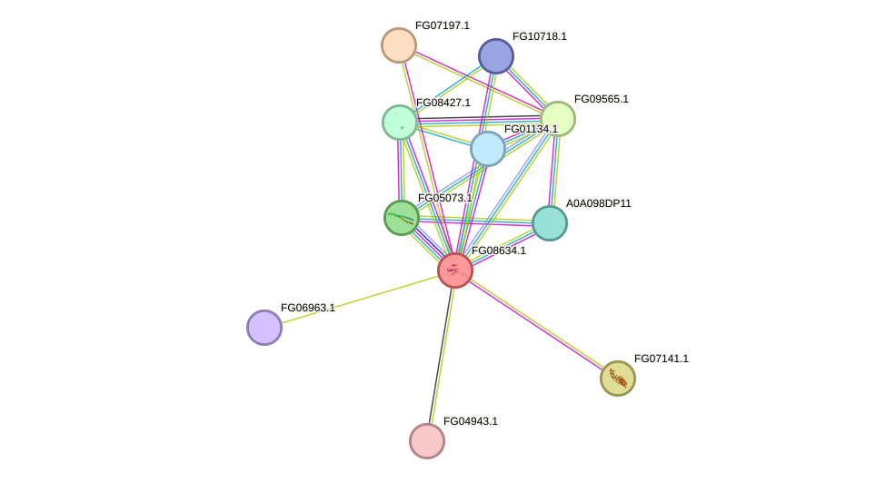 STRING protein interaction network