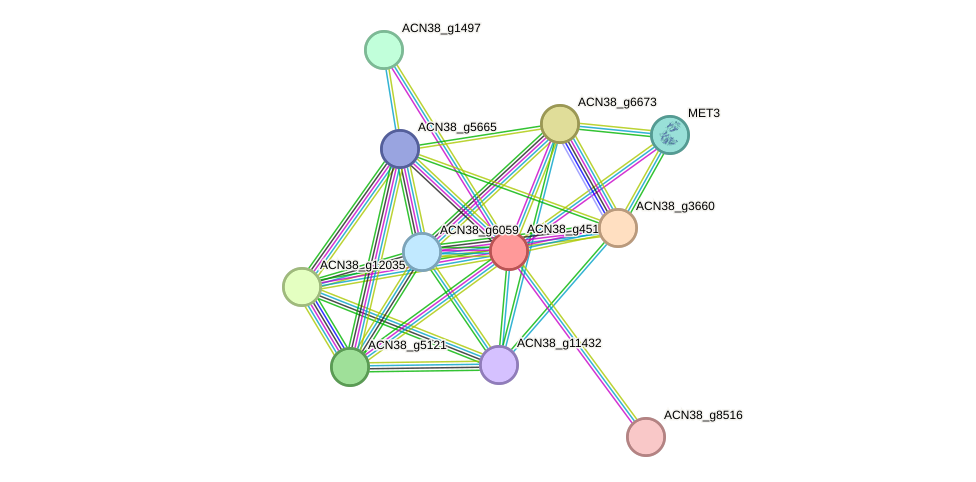 STRING protein interaction network