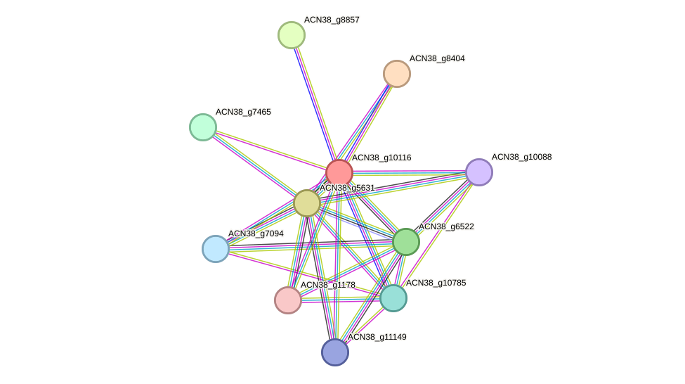 STRING protein interaction network