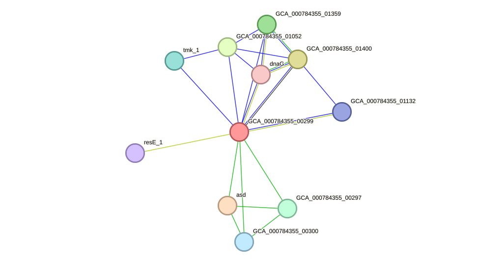 STRING protein interaction network