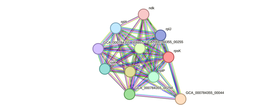 STRING protein interaction network