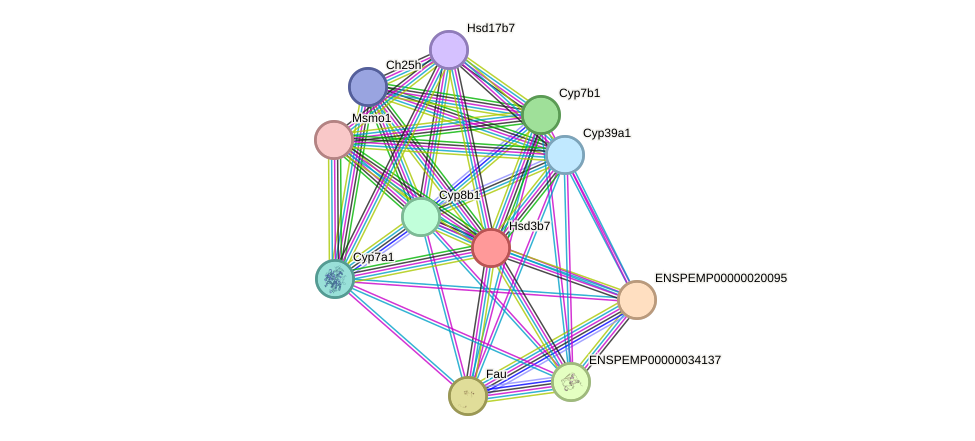 STRING protein interaction network