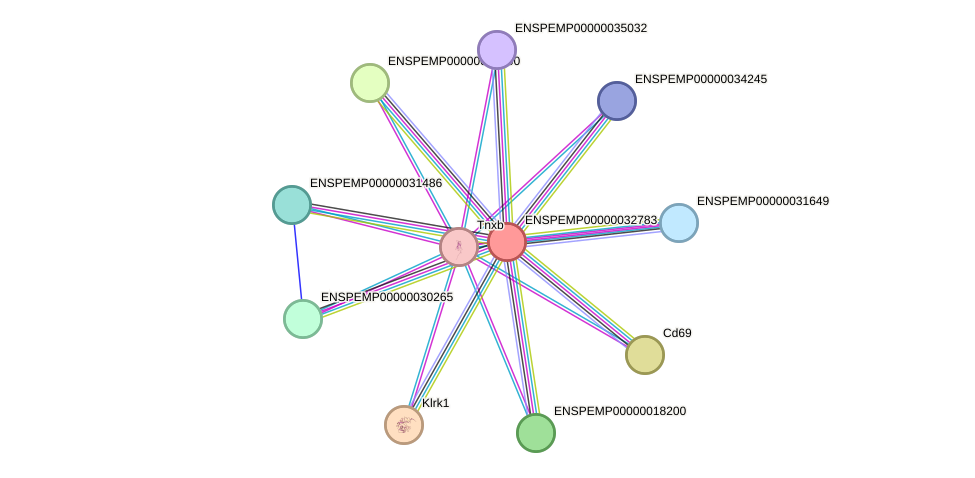 STRING protein interaction network