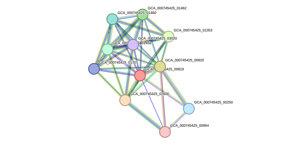 STRING protein interaction network