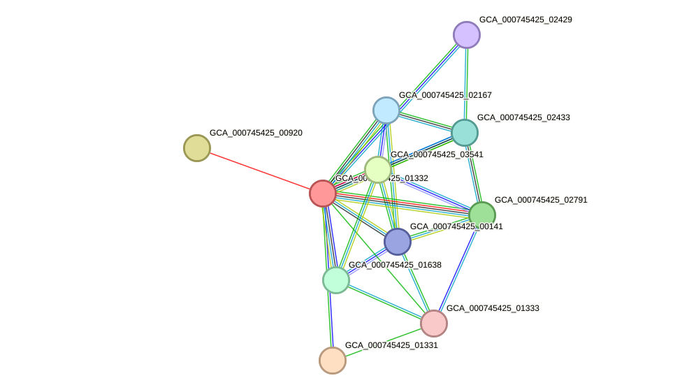 STRING protein interaction network