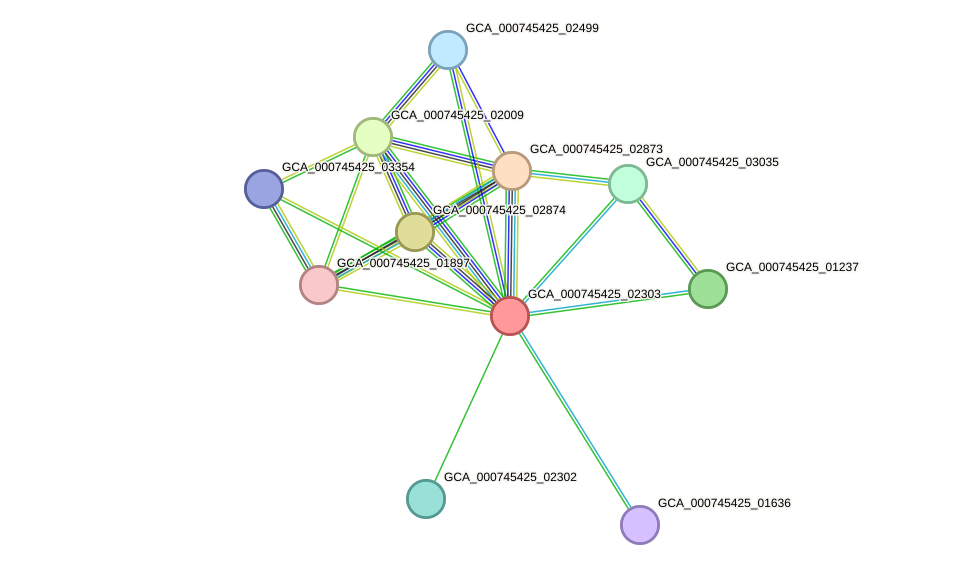 STRING protein interaction network