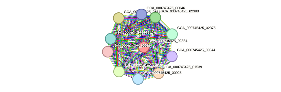 STRING protein interaction network