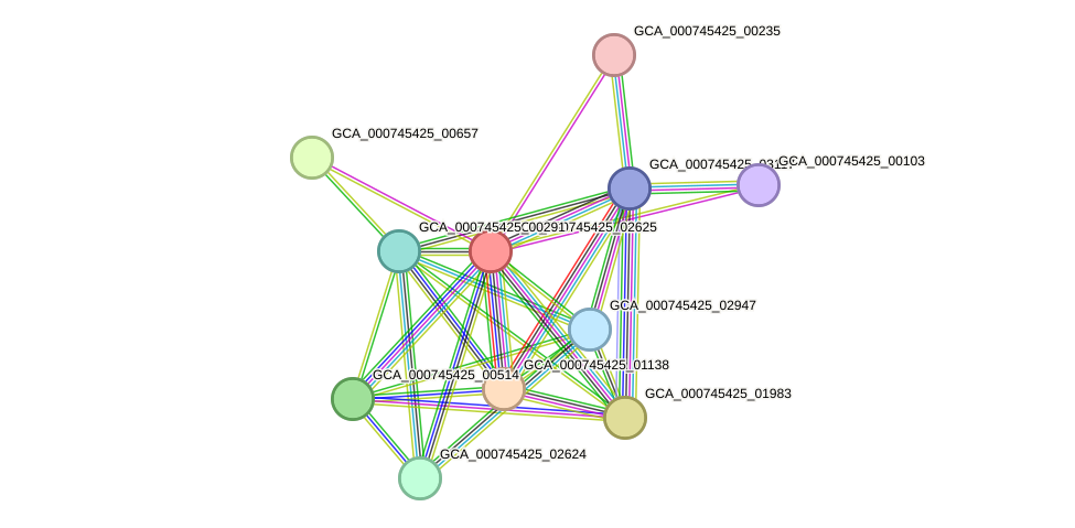 STRING protein interaction network