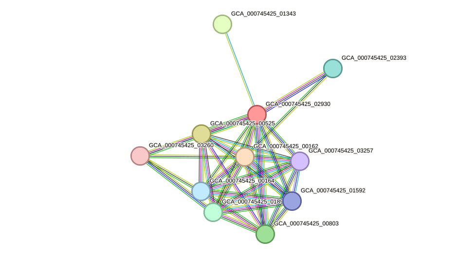 STRING protein interaction network