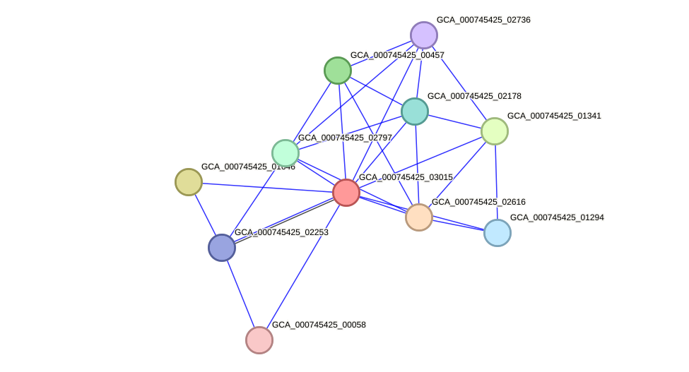 STRING protein interaction network