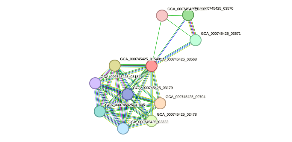 STRING protein interaction network