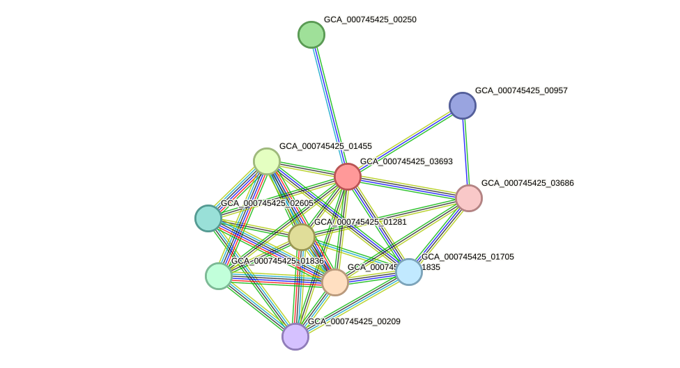 STRING protein interaction network