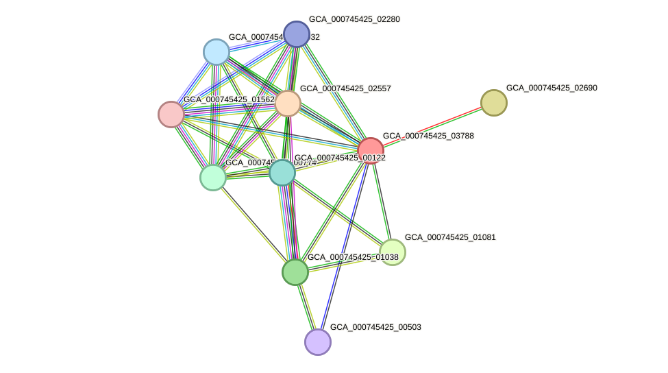 STRING protein interaction network