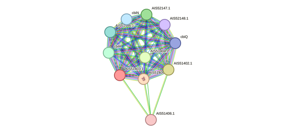 STRING protein interaction network