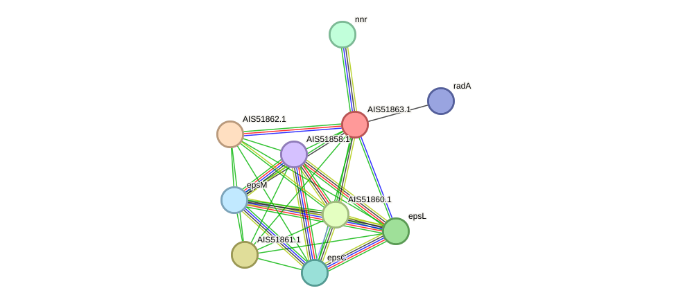 STRING protein interaction network