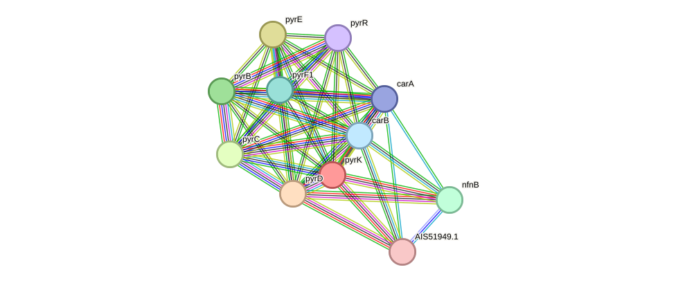 STRING protein interaction network