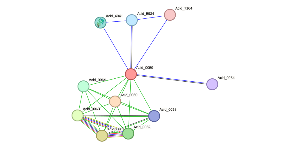 STRING protein interaction network