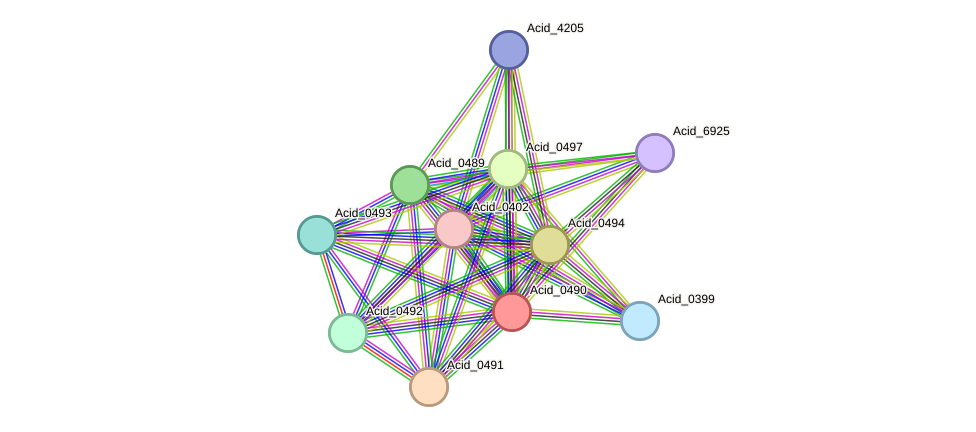 STRING protein interaction network