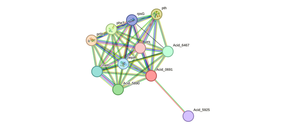 STRING protein interaction network