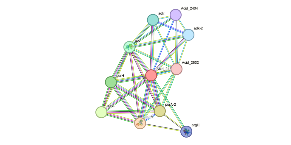 STRING protein interaction network