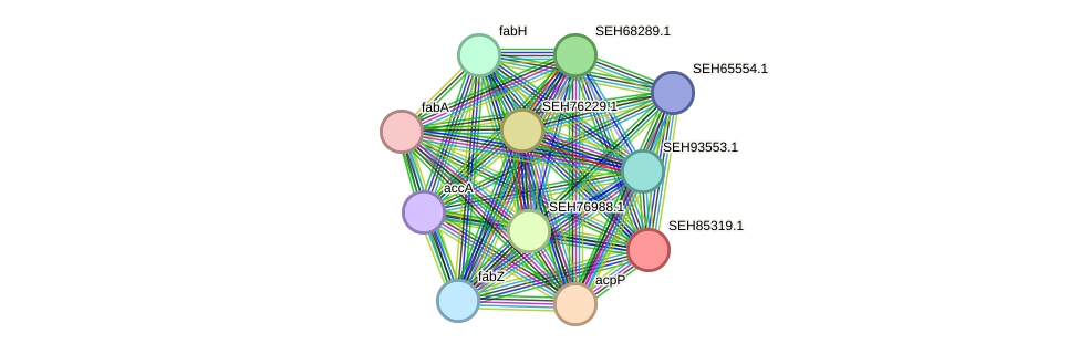 STRING protein interaction network