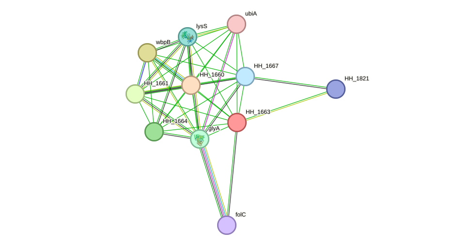 STRING protein interaction network