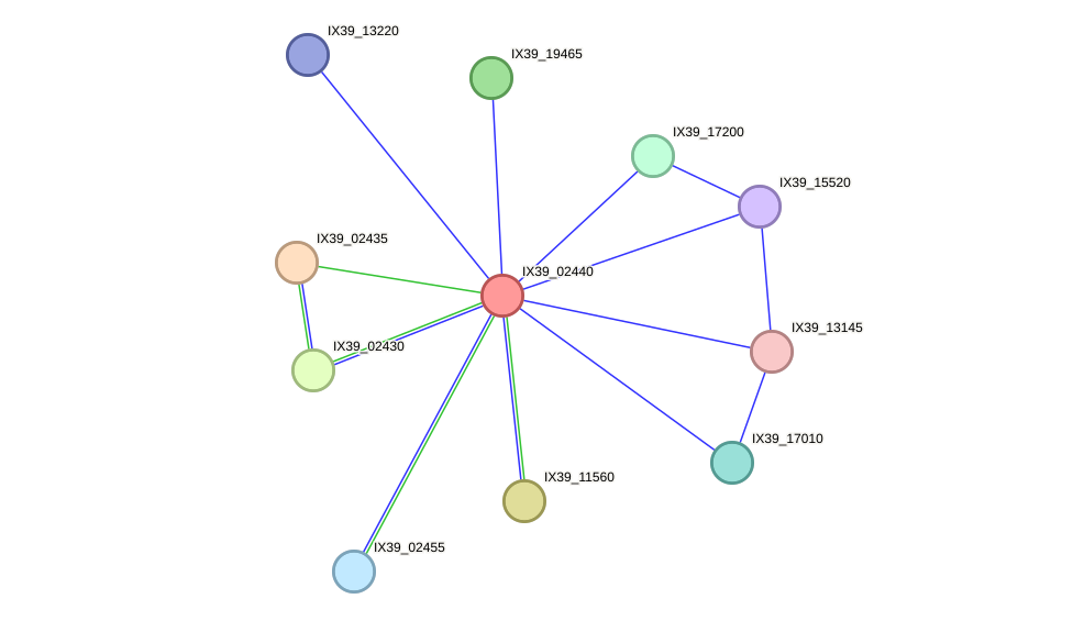 STRING protein interaction network